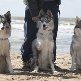 Foto van Angelique; Bruno, Charlie & Fenna