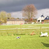 Foto van Kaatje en Hailey (Speedy† Tessa†)