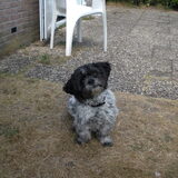 Foto van Ria Vincent R.I.P.Vienna en Diego