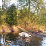 Foto van esther