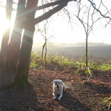 Foto van esther