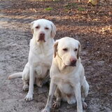 Foto van esther
