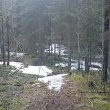 Foto van Marlies met Frøya