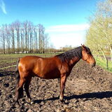 Foto van fabienne