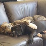 Foto van Bigs&Neo