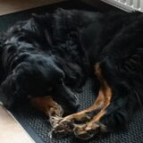 Foto van fabienne