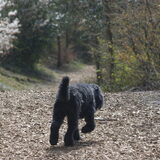 Foto van Angelique; Bruno, Charlie & Fenna