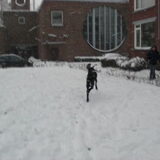Daan geniet van de aankomende sneeuwstorm!
