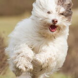 Actie!