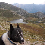 Foto van Vincent