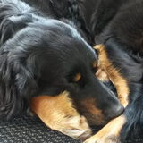 Foto van fabienne