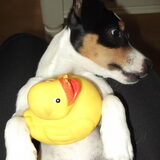Foto van Kaatje en Hailey (Speedy† Tessa†)