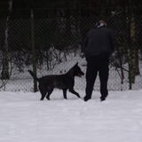 Foto van Douglas