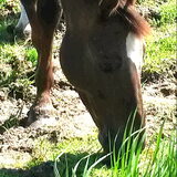 Foto van fabienne