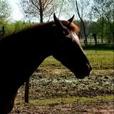 Foto van fabienne