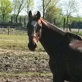 Foto van fabienne