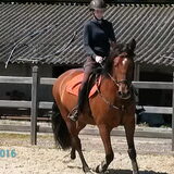 Foto van fabienne
