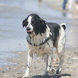Foto van Angelique; Bruno, Charlie & Fenna