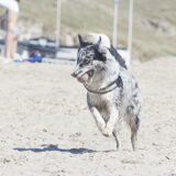 Foto van Angelique; Bruno, Charlie & Fenna