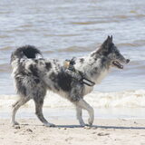 Foto van Angelique; Bruno, Charlie & Fenna