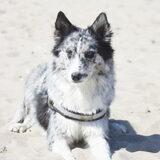 Foto van Angelique; Bruno, Charlie & Fenna