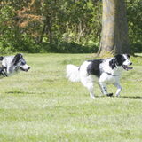 Foto van Angelique; Bruno, Charlie & Fenna