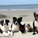 Foto van Shauni  *Sky~Jinx~Sansa~Hypno*