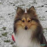 Foto van Jessica