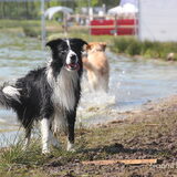 Foto van Naomi
