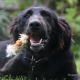 Foto van Naomi