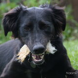 Foto van Naomi
