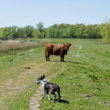 Foto van Hannah & Bink† en Beertje
