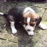 Foto van Bianca
