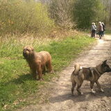 Foto van Jackie en Kiba:)