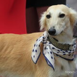 Foto van Naomi