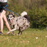 Foto van Angelique; Bruno, Charlie & Fenna