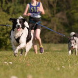Foto van Angelique; Bruno, Charlie & Fenna