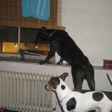 ik wil ook buiten kijke :):)