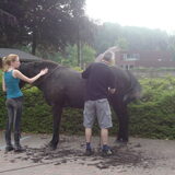 Foto van fabienne