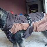 Foto van Ciska en Spanjaardje Moh (Bambi r.i.p.)