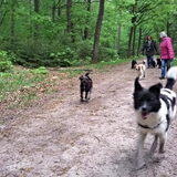 Foto van Ciska en Spanjaardje Moh (Bambi r.i.p.)