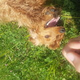 Foto van Rachelle & Hummie