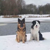 Poseren