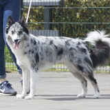 Foto van Angelique; Bruno, Charlie & Fenna