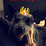 Foto van fabienne