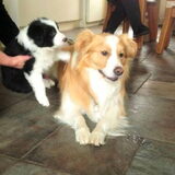 Foto van carla en Buddy