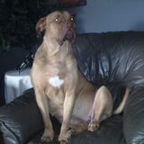 Hoezo verwaand haha