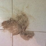 Foto van Jeanine :)