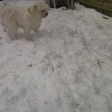 Brrrrr