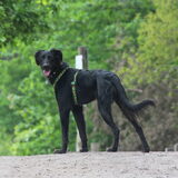 Foto van Naomi
